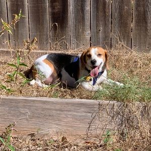 Meet your Posher, Mel